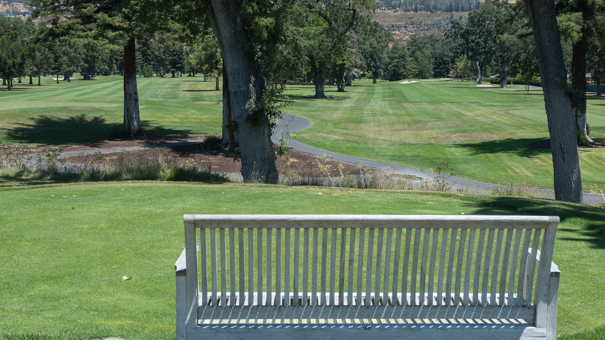 PGA Tour: Social Media’s Best Bets for The Procore Championship