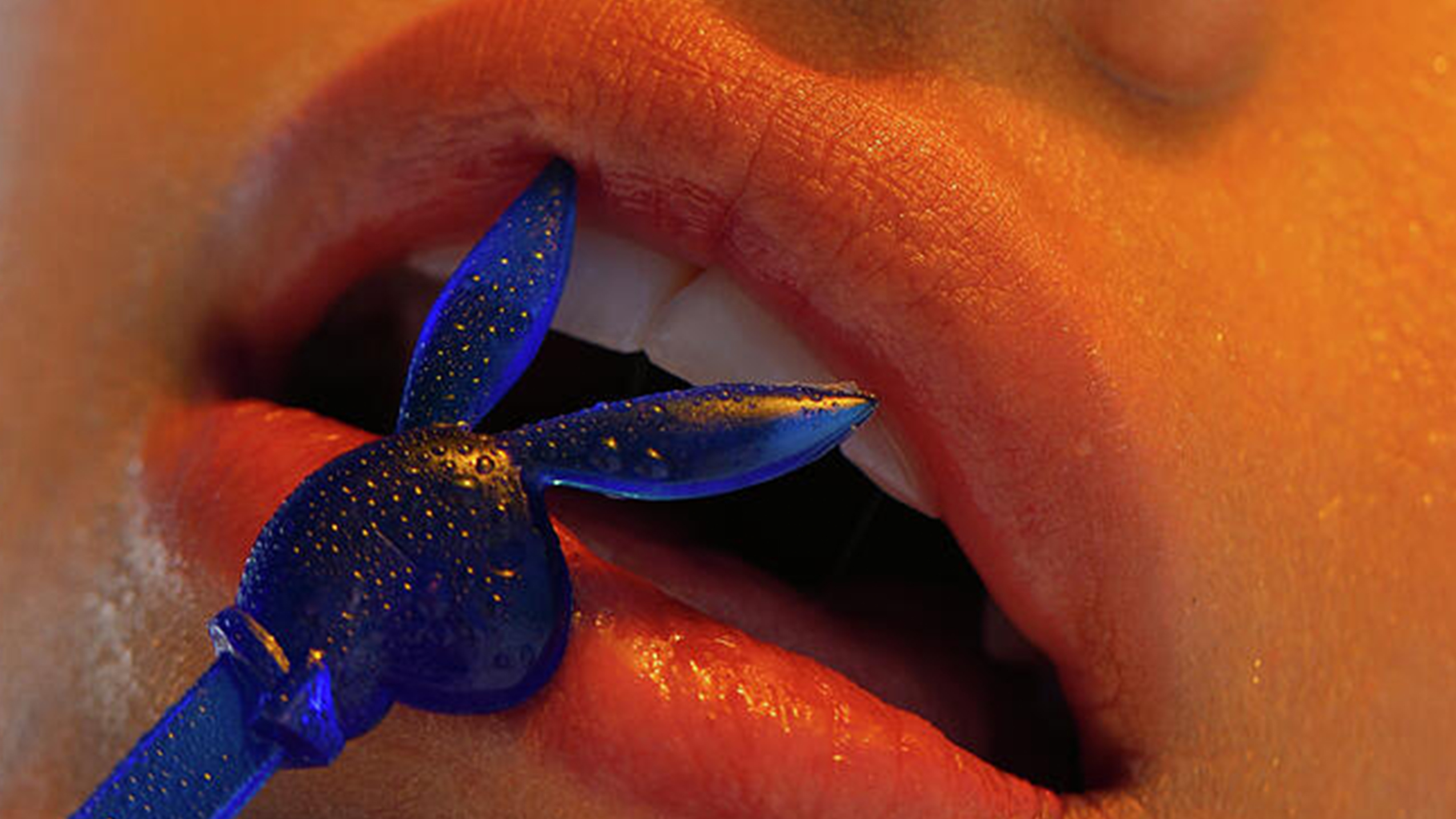 Playboy Prints: Covers and Art That Are up Close and Personal