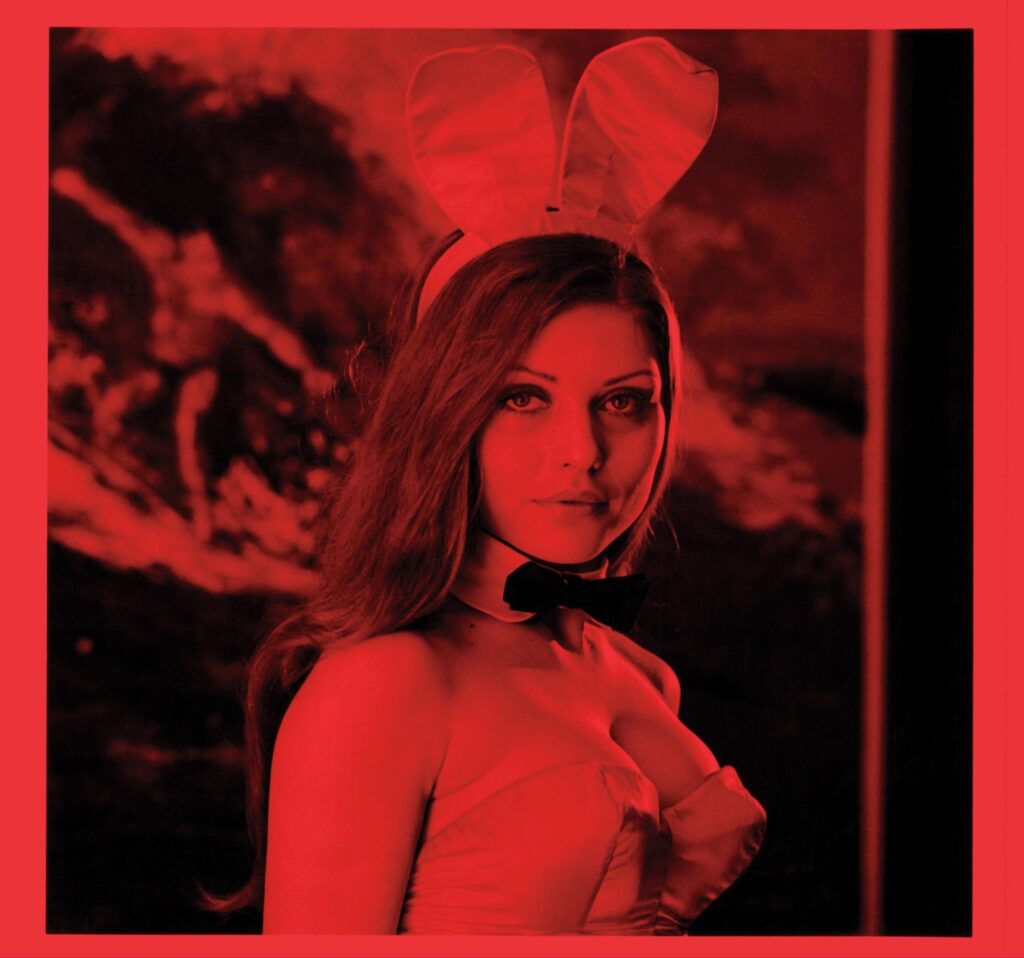 Deborah Harry, photographed by Bill Sumner, 1980. Debbie, best known as the lead singer of Blondie, worked as a Playboy Bunny before becoming a punk rock icon.