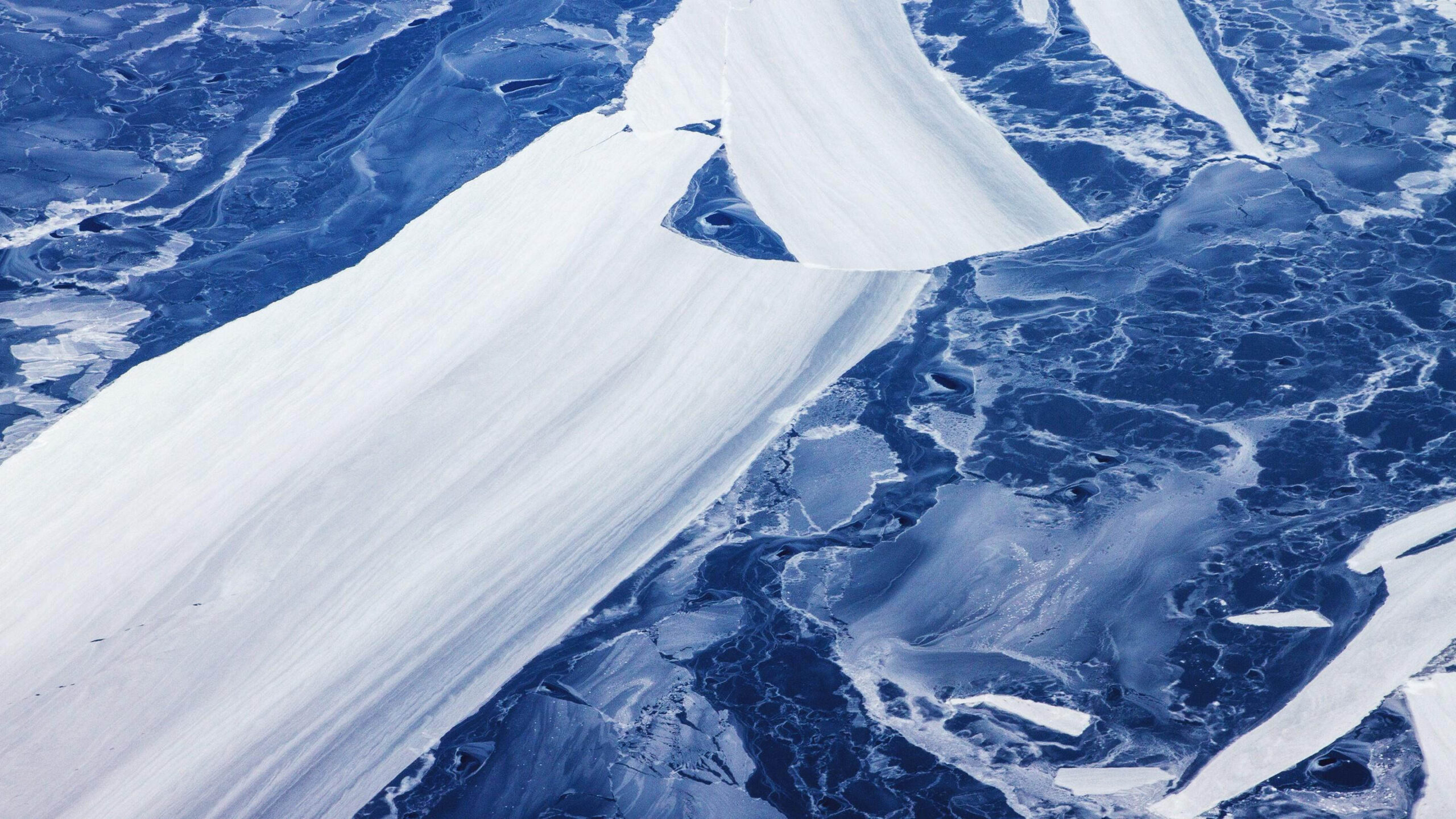 Antartica_gerwin-ice_embed_(03).jpg